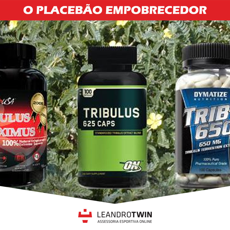 Tribulus terrestris funciona ou nao